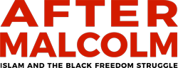 After Malcolm Logo